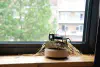 The Sound Of Speech as it Echoes in the Cloud
